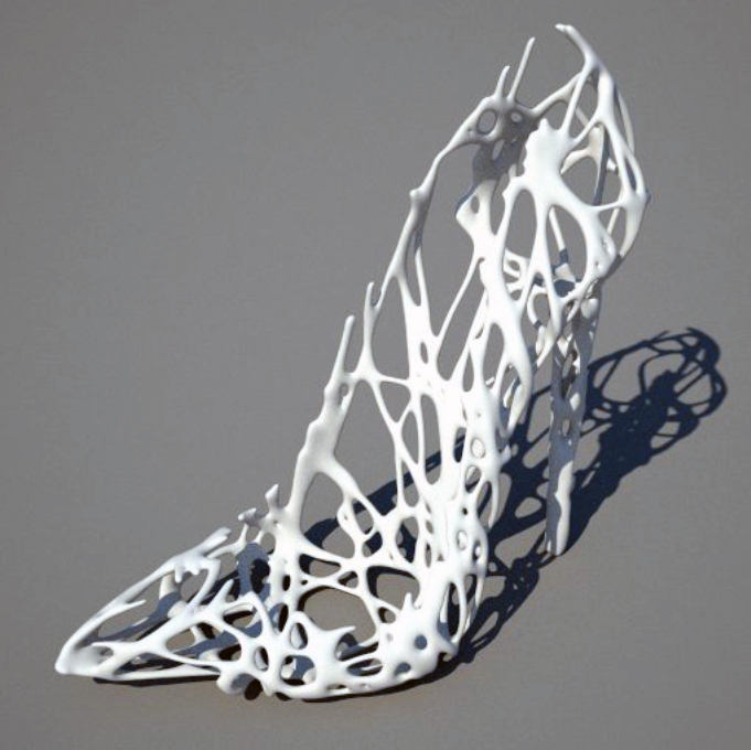 NUS_16 3D Printed Shoes